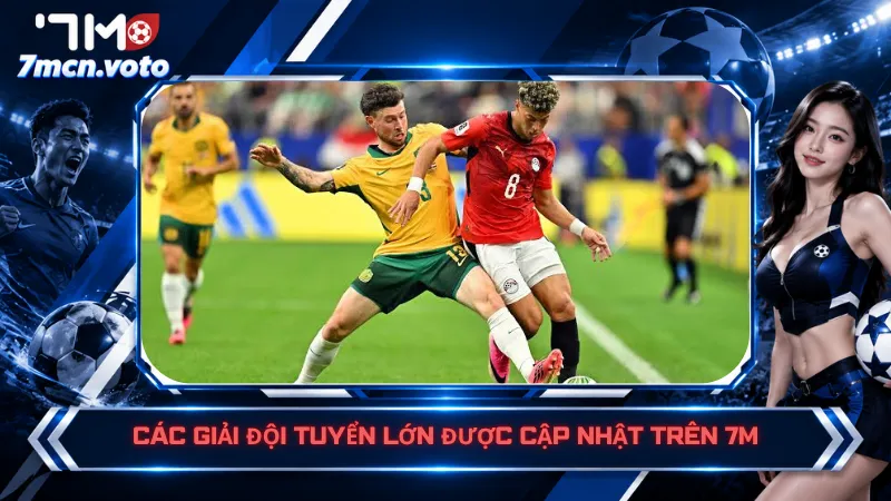 Các giải đội tuyển lớn được cập nhật trên 7M